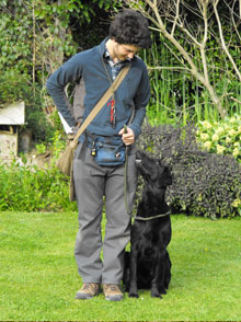 Merry Dogs Behavioural Consultancy & Dog Training Whitstable Canterbury